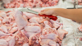 В России рост цен на курятину может ускориться во втором полугодии